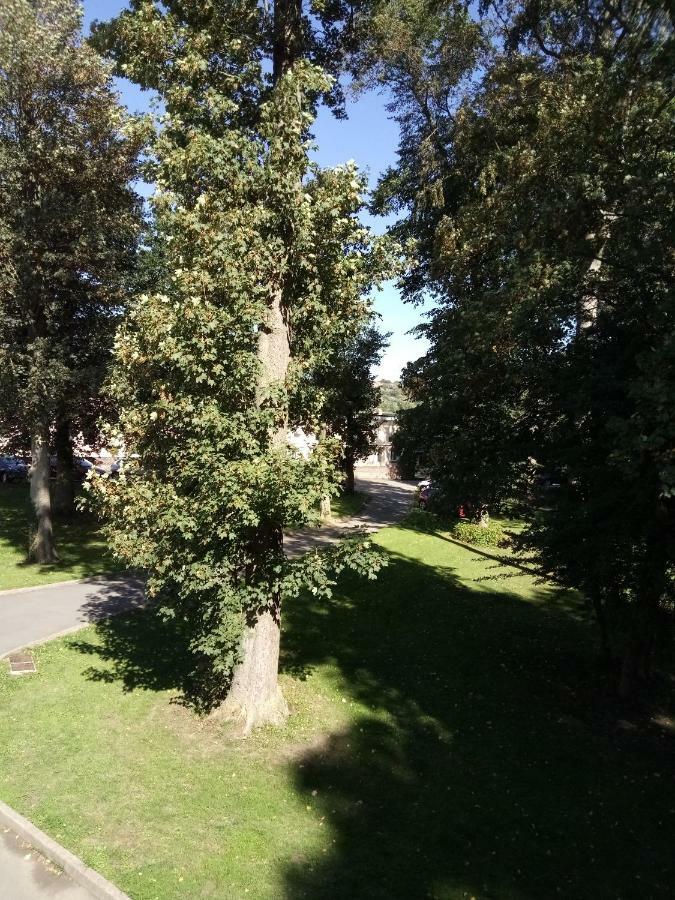 Gite Du Montagnard Oxelaere Kültér fotó